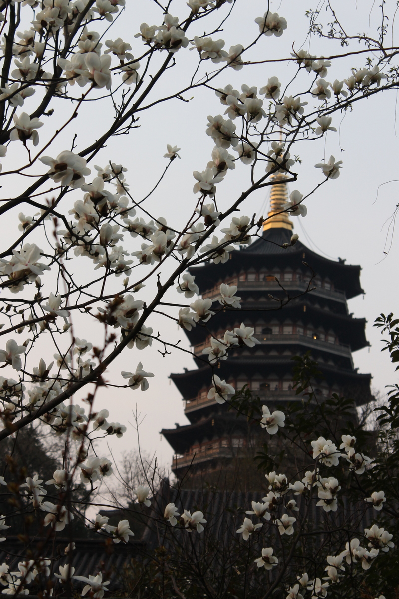 The Liuhe Pagoda (Six Harmonies Pagoda)