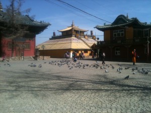 IMG_2341 by WithoutWings11