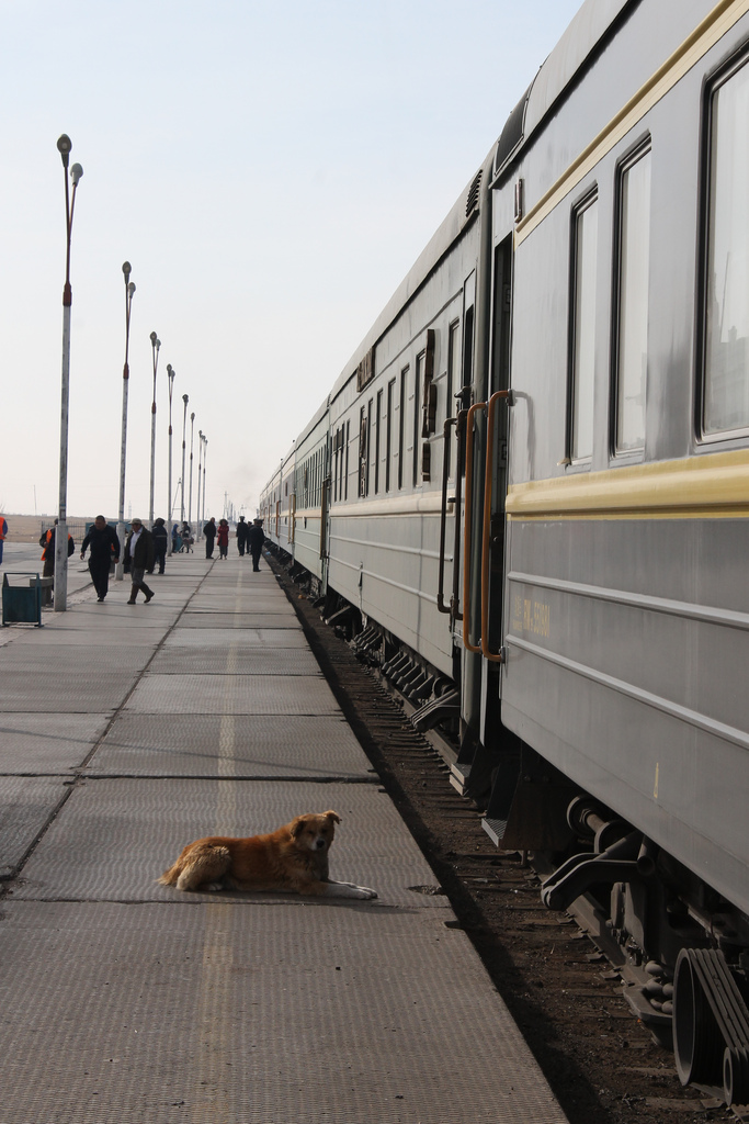 IMG_5231 by WithoutWings11