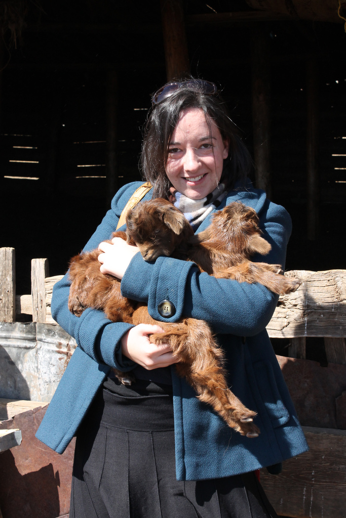 IMG_5318 by WithoutWings11