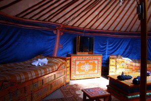 IMG_5330 by WithoutWings11