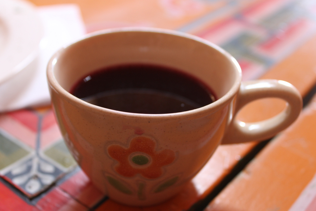 IMG_5343 by WithoutWings11