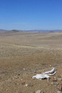 IMG_5387 by WithoutWings11