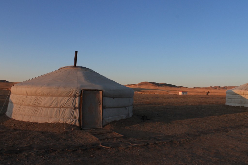 IMG_5416 by WithoutWings11