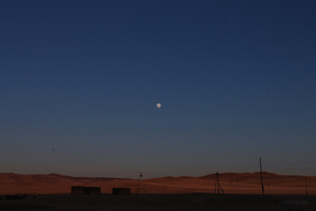 IMG_5421 by WithoutWings11